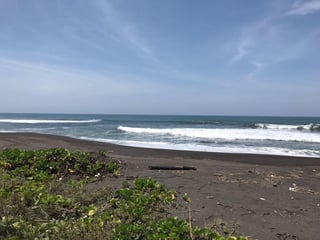 VENDO TERRENO VACACIONAL EN PLAYA RAMA BLANCA SIPACATE - Image 8