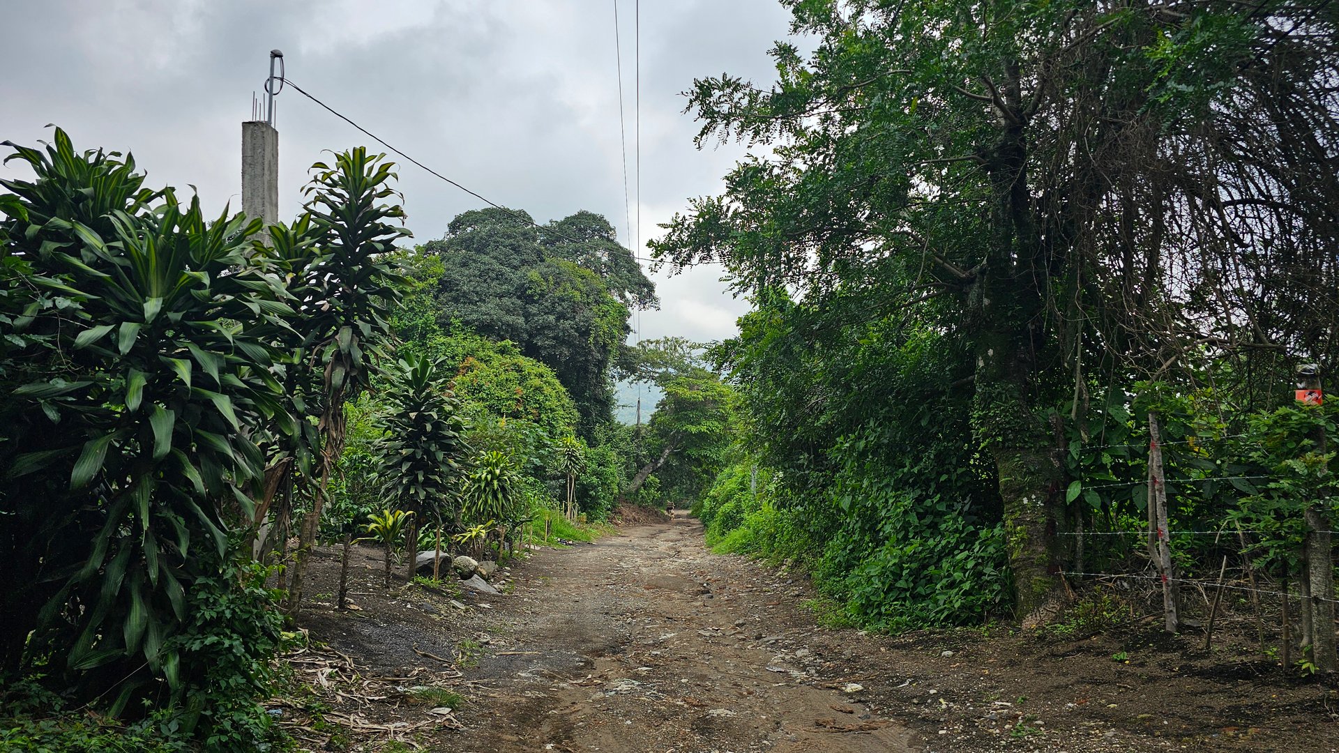 Terreno de 1 Manzana en Alotenango Cercanía Estratégica a la RN14 - Miniatura 9