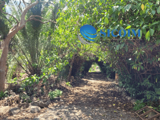 Finca for Sale in Antigua Guatemala - Image 5