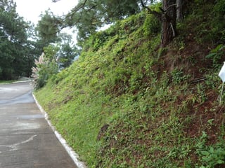 VentaTerreno en Las Cumbres Zona 16 Guatemala - 5