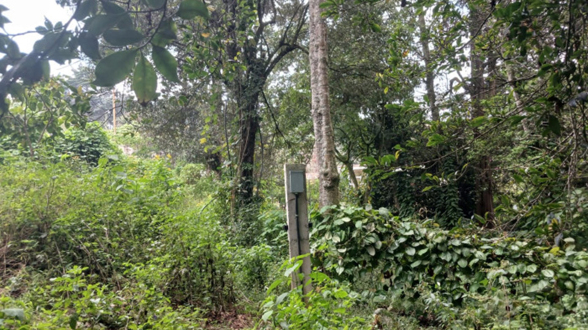 TERRENO EN VENTA EN SAN LUCAS SACATEPEQUEZ - Miniatura 11