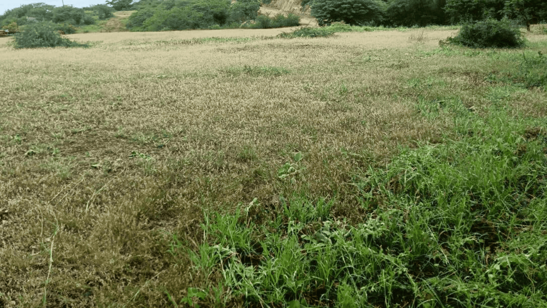 Terrenos en Venta en San Agustín Acasaguastlán, El Progreso - Miniatura 2