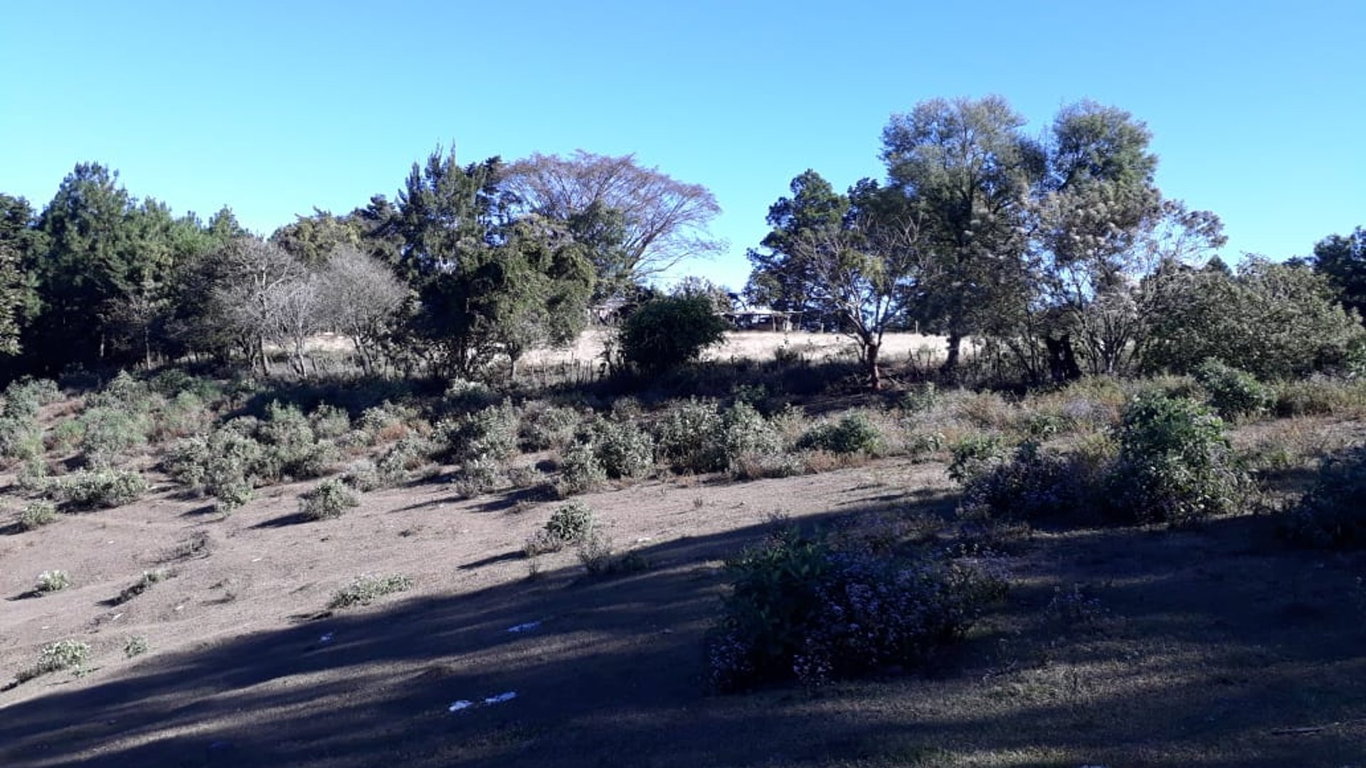 Finca en venta, El Tular camino Mataquescuintla. - Miniatura 3