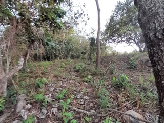 Terreno en Venta en Quintas Vallarta Escuintla - 5