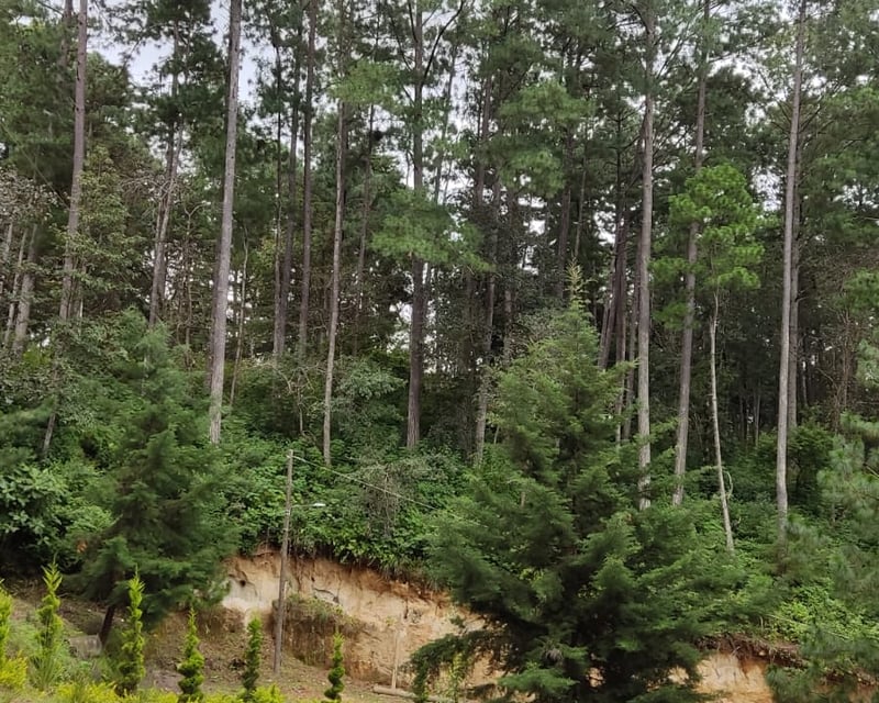 Terreno en venta, Condominio campestre los horizontes