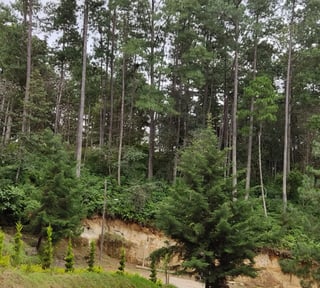 Terreno en venta, Condominio campestre los horizontes