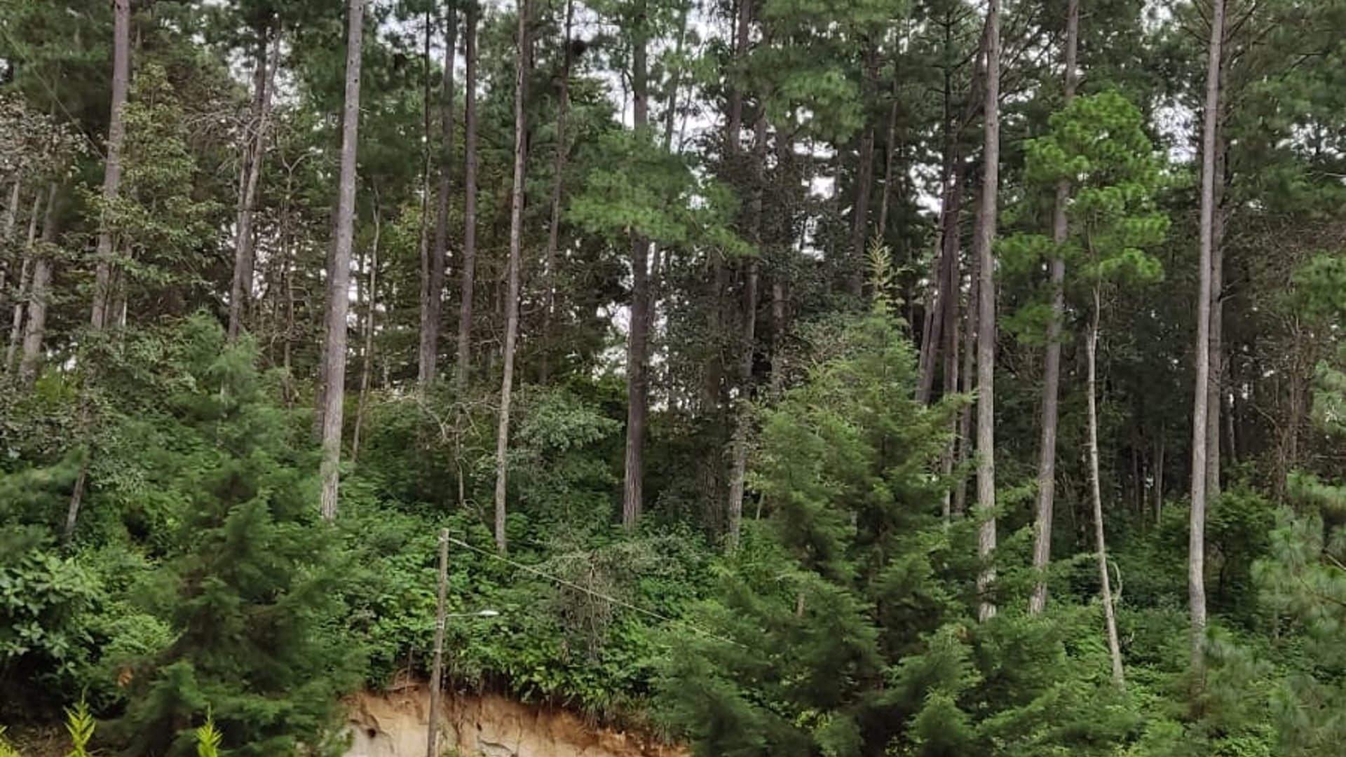 Terreno en venta, Condominio campestre los horizontes