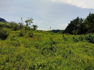 TERRENO CARRETERA A FRAIJANES EN VENTA , CES - 3