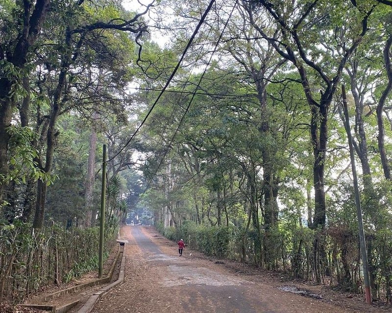 Terreno en Venta en Santa Lucía Milpas Altas, Sacatepéquez