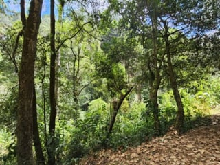 Terreno en Venta Santiago Sacatepéquez, Jardin El Alto - 4