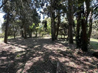 *Vendo amplio terreno en Km 17.5 Carr. El Salvador, Arrazola III* (C) - 2