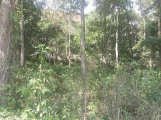 Terreno en  VENTA en El Pulte Z.16 - 3