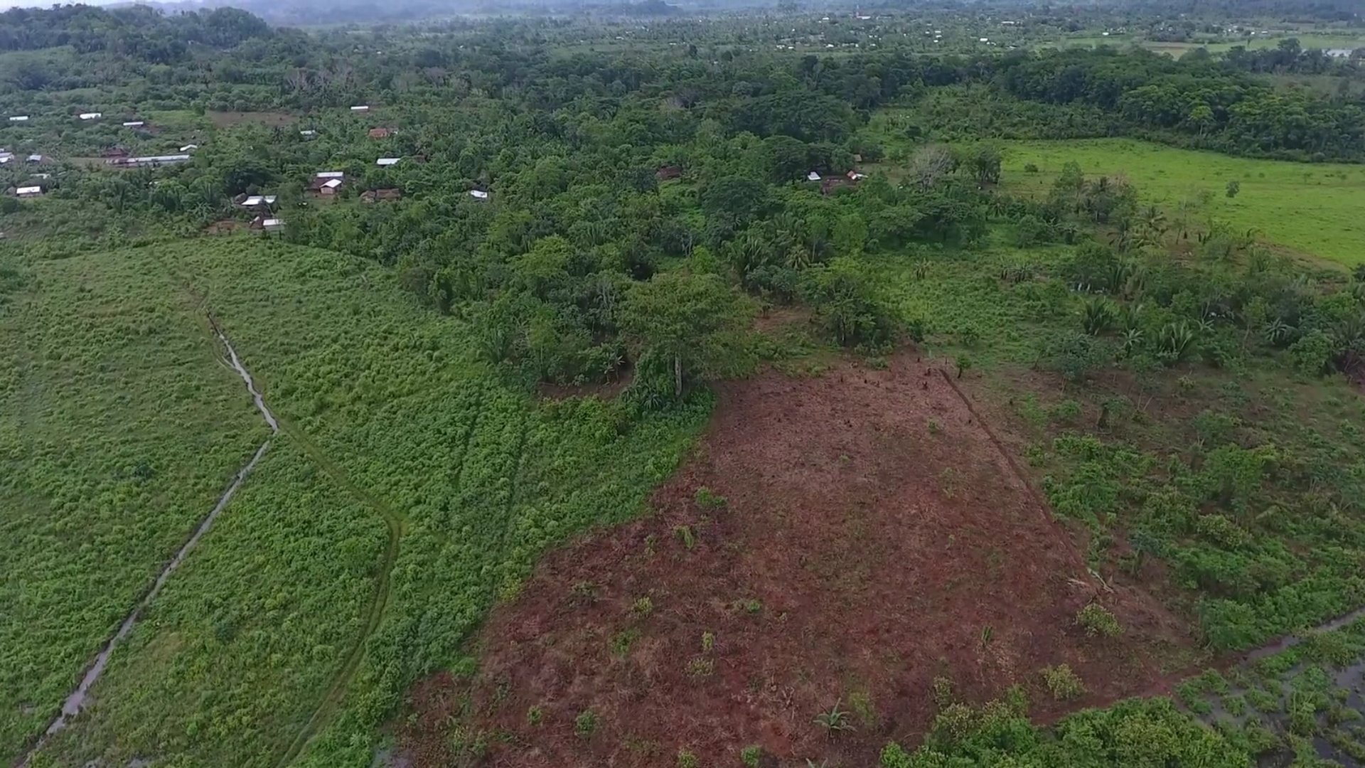 FINCA EN VENTA EN ALTA VERAPAZ - Miniatura 14