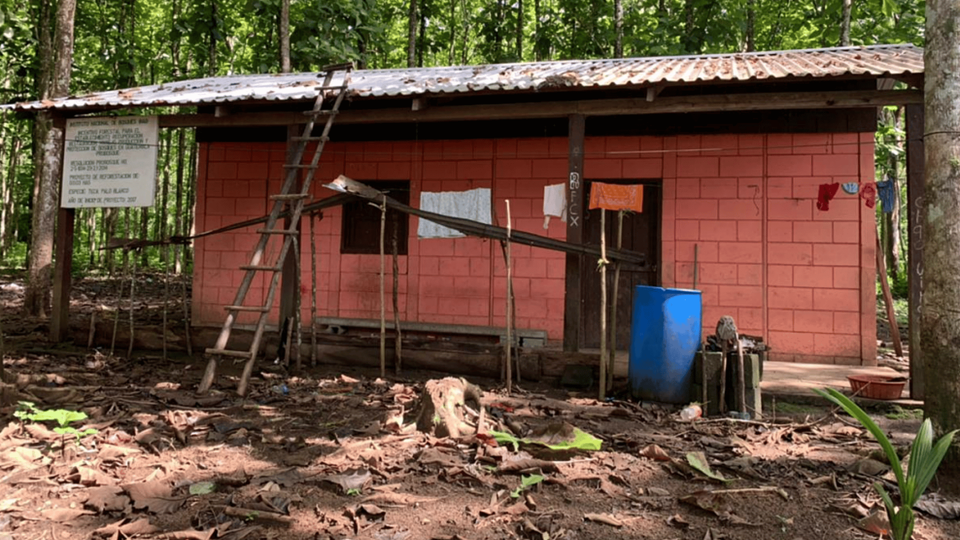 Finca en VENTA en  Municipio Nuevo Chahal, Alta Verapaz - Miniatura 7