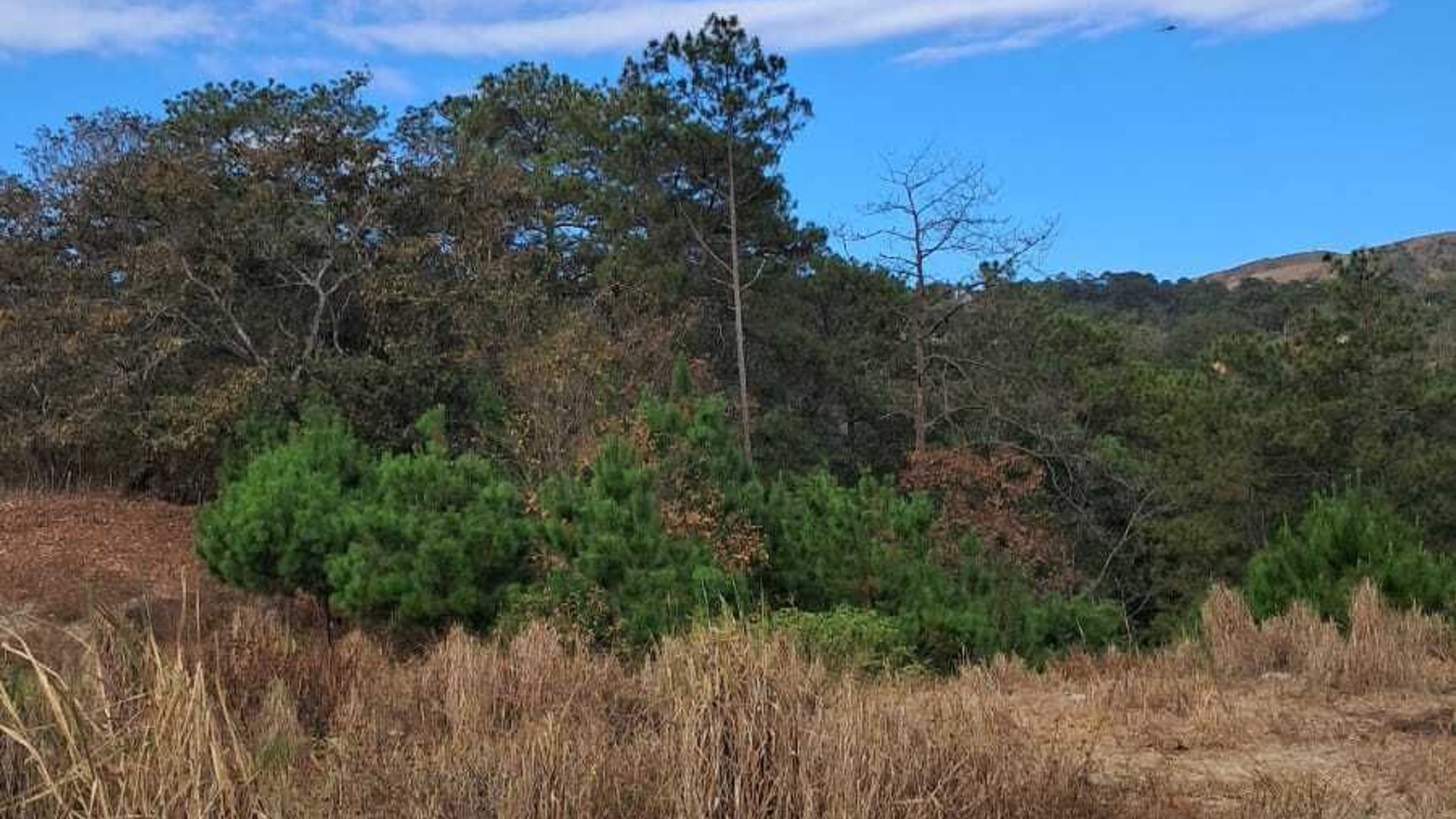 Finca en VENTA en San Pedro Ayampuc - Miniatura 5