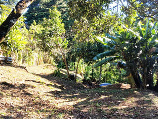 VENTA DE TERRENO EN LO DE DIEGUEZ - 3