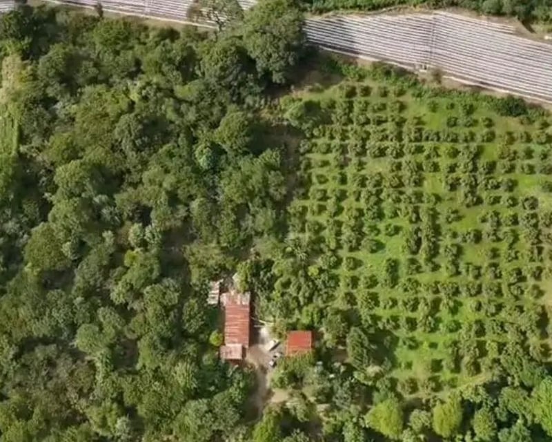 Finca Cafetalera en Renta En Amatitlan