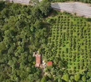 Finca Cafetalera en Renta En Amatitlan