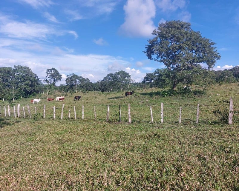 FINCA EN VENTA – PETÉN | SAN ANDRES