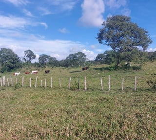 FINCA EN VENTA – PETÉN | SAN ANDRES