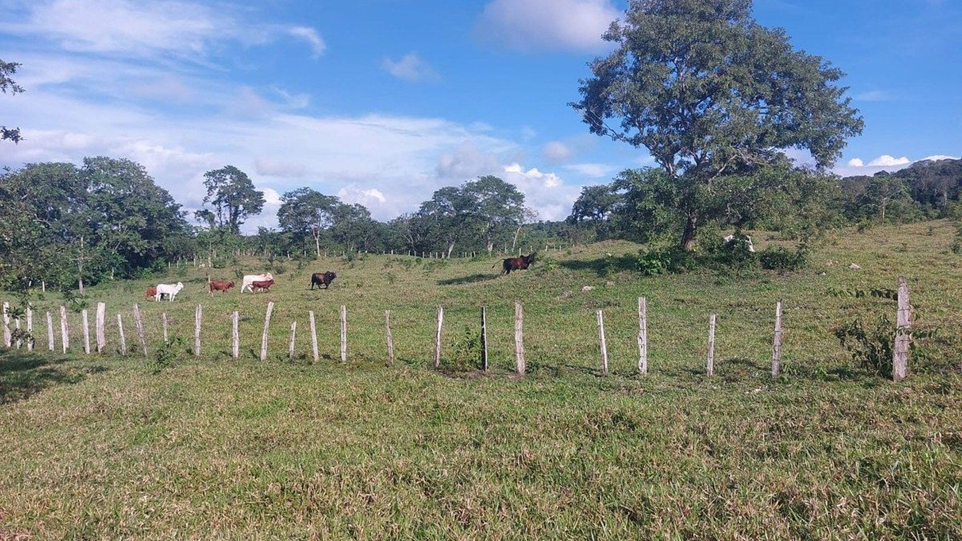 FINCA EN VENTA – PETÉN | SAN ANDRES