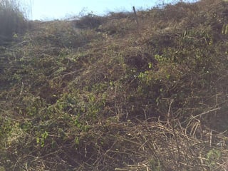 Terreno en Venta, zona 16. - 5