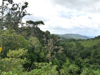 Terreno en venta en Piedra Parada, CES Guatemala - Image 9