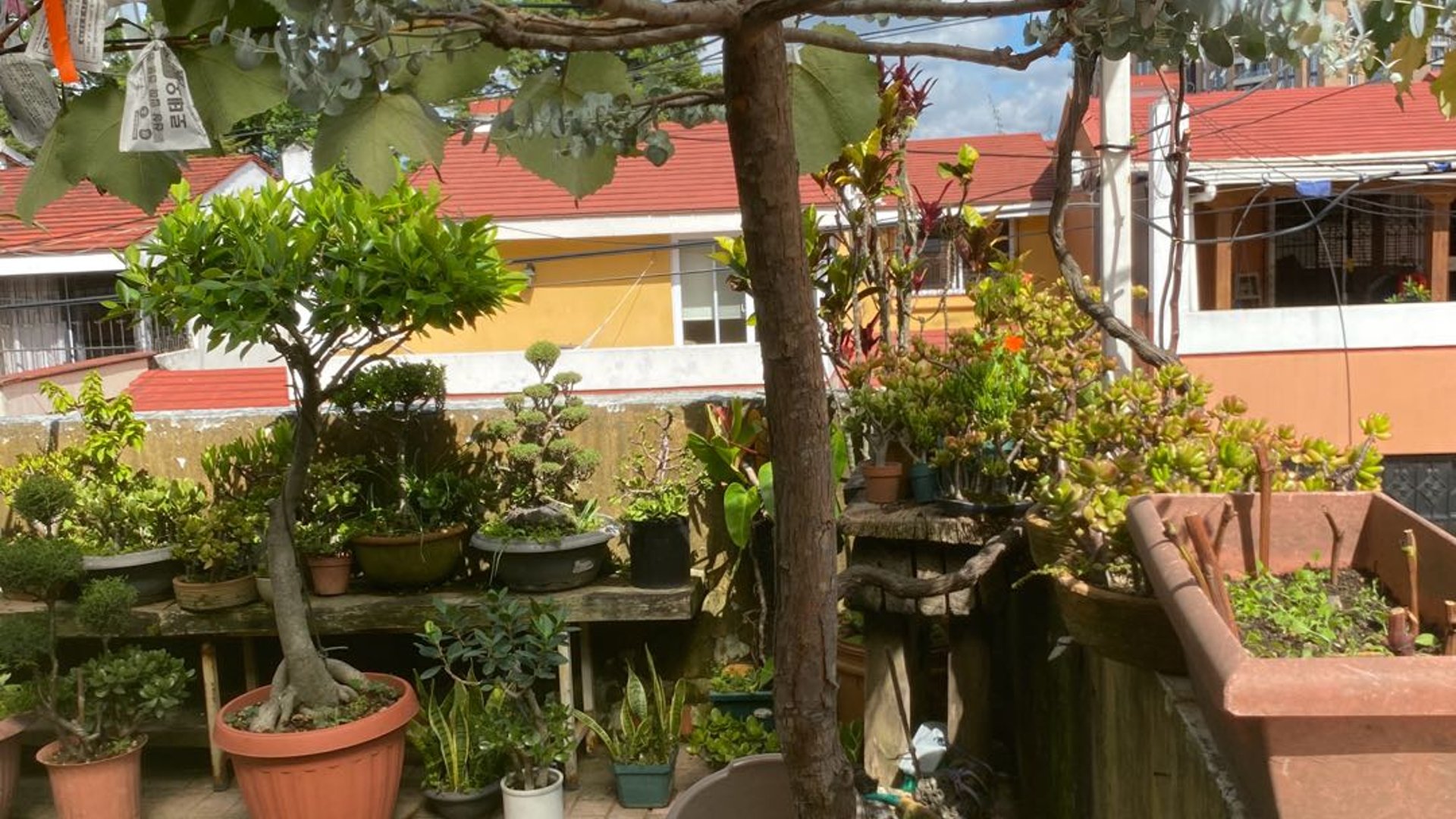 Casa en Venta Condominio Bugambileas Zona 7 - Miniatura 11