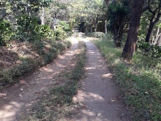 Vendo Finca para Café y Aguacate en Acatenango Chimaltenango  - 2