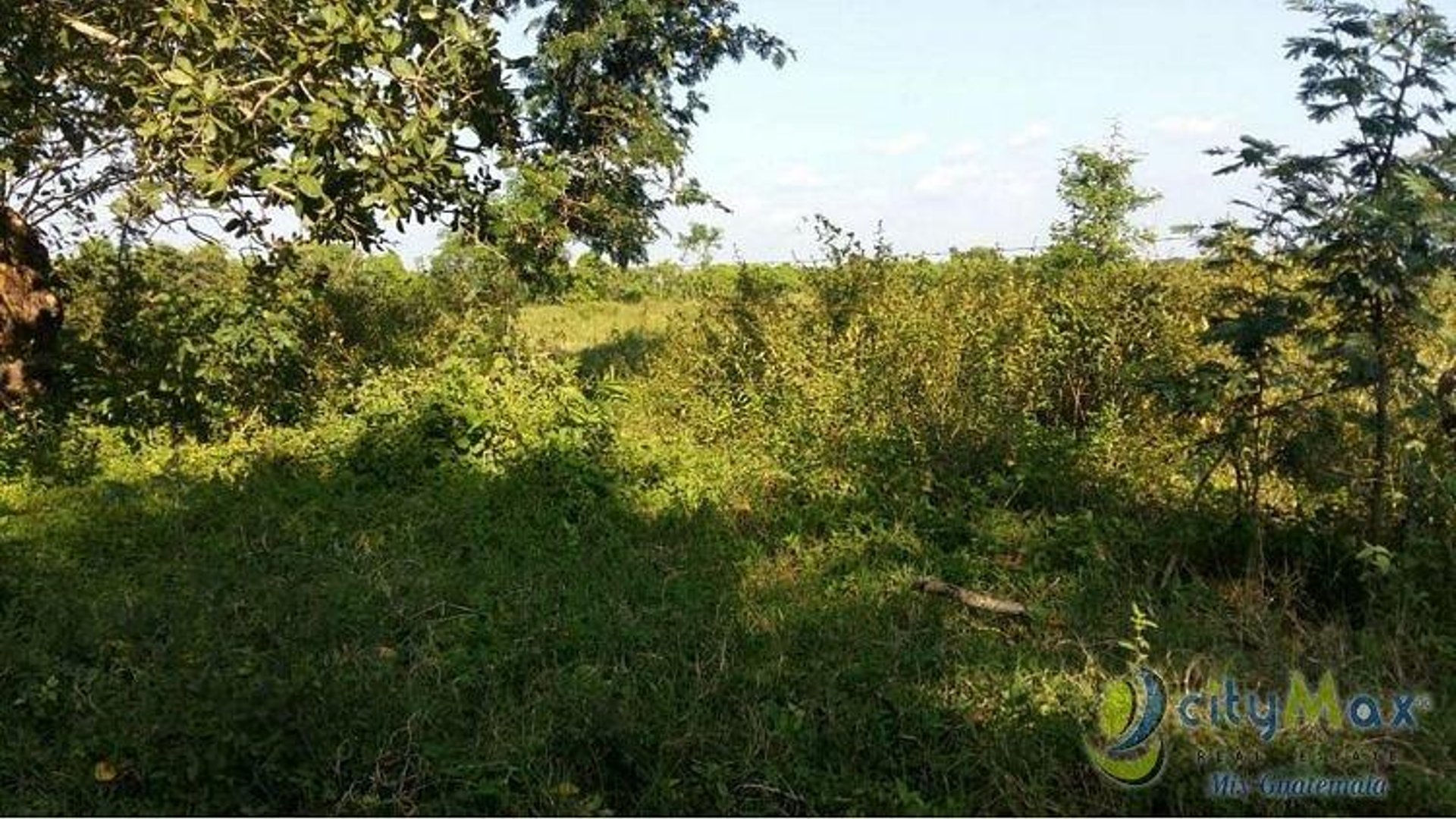 Terreno en Venta en San Andres Villa Seca Retalhuleu