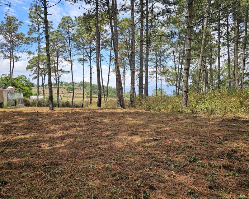 VENTA Terreno Km. 43 Residencial Hacienda Las Llanuras Sumpango 
