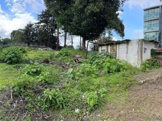 Terreno en ALQUILER en Carretera a El Salvador - Image 2