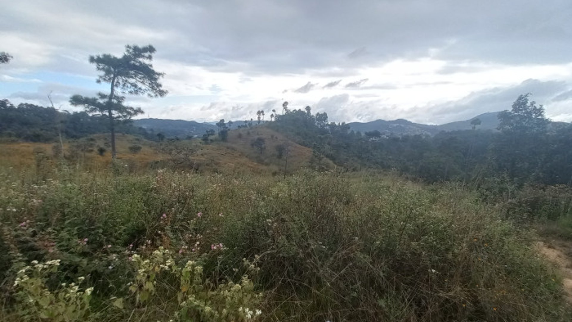 Terreno Comercial área San Pedro Ayampuc - Miniatura 10