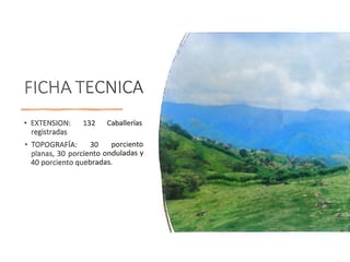 IZABAL/ Finca con minerales, árboles y Agua en Venta - 3