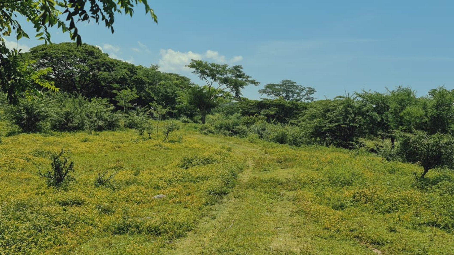 Finca de 113 Manzanas en venta Autopista Puerto Quetzal - Miniatura 5