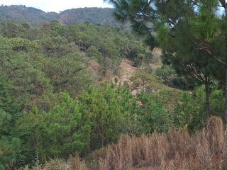 Finca en VENTA en San Pedro Ayampuc - 2