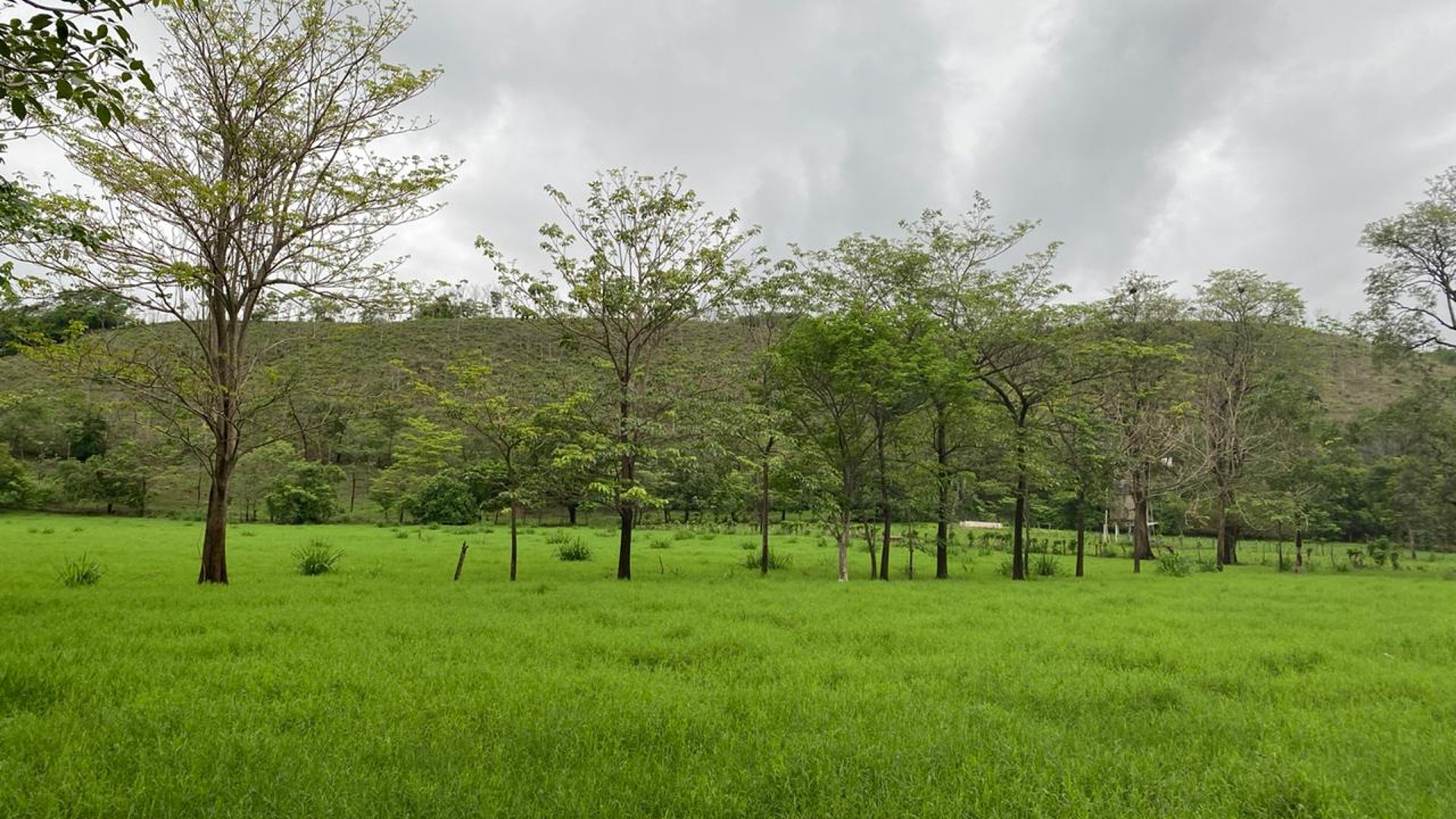 FINCA EN SANTA ROSA - Miniatura 7