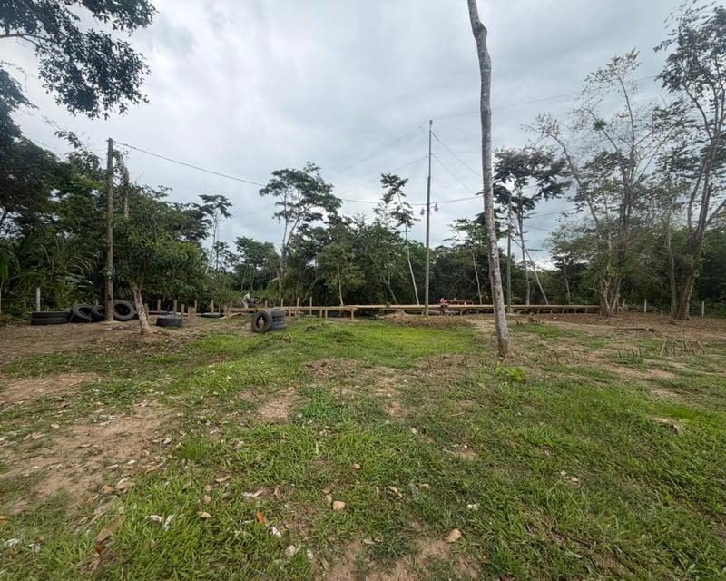 Terreno en venta en Rio Ciénega, Livingston