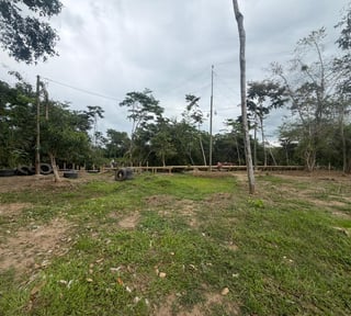 Terreno en venta en Rio Ciénega, Livingston