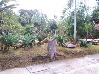 TERRENO EN VENTA EN STA ROSALIA LA LAGUNA - 2