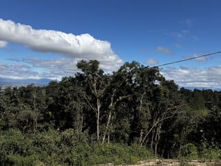 Terreno en Venta en Santa Rosalía - 4