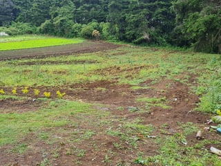 Propiedada en venta, Santo Tomas Milpas altas.  - 5