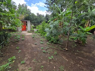 Propiedad en venta en Amatitlan de 2mnzs Ref-4866 - Image 11