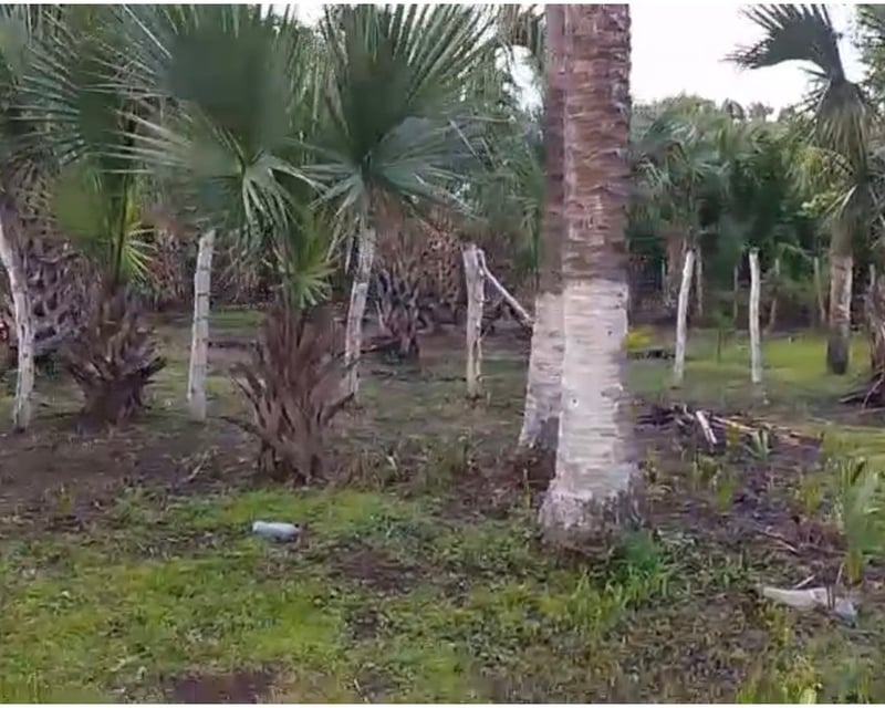 TERRENO EN VENTA – ALDEA EL CEBOLLITO, HAWÁI CHIQUIMULA