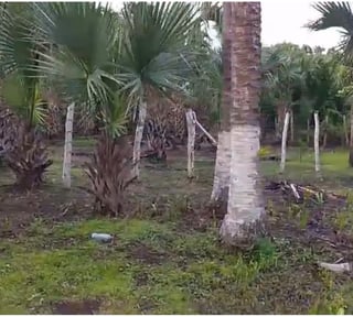 TERRENO EN VENTA – ALDEA EL CEBOLLITO, HAWÁI CHIQUIMULA