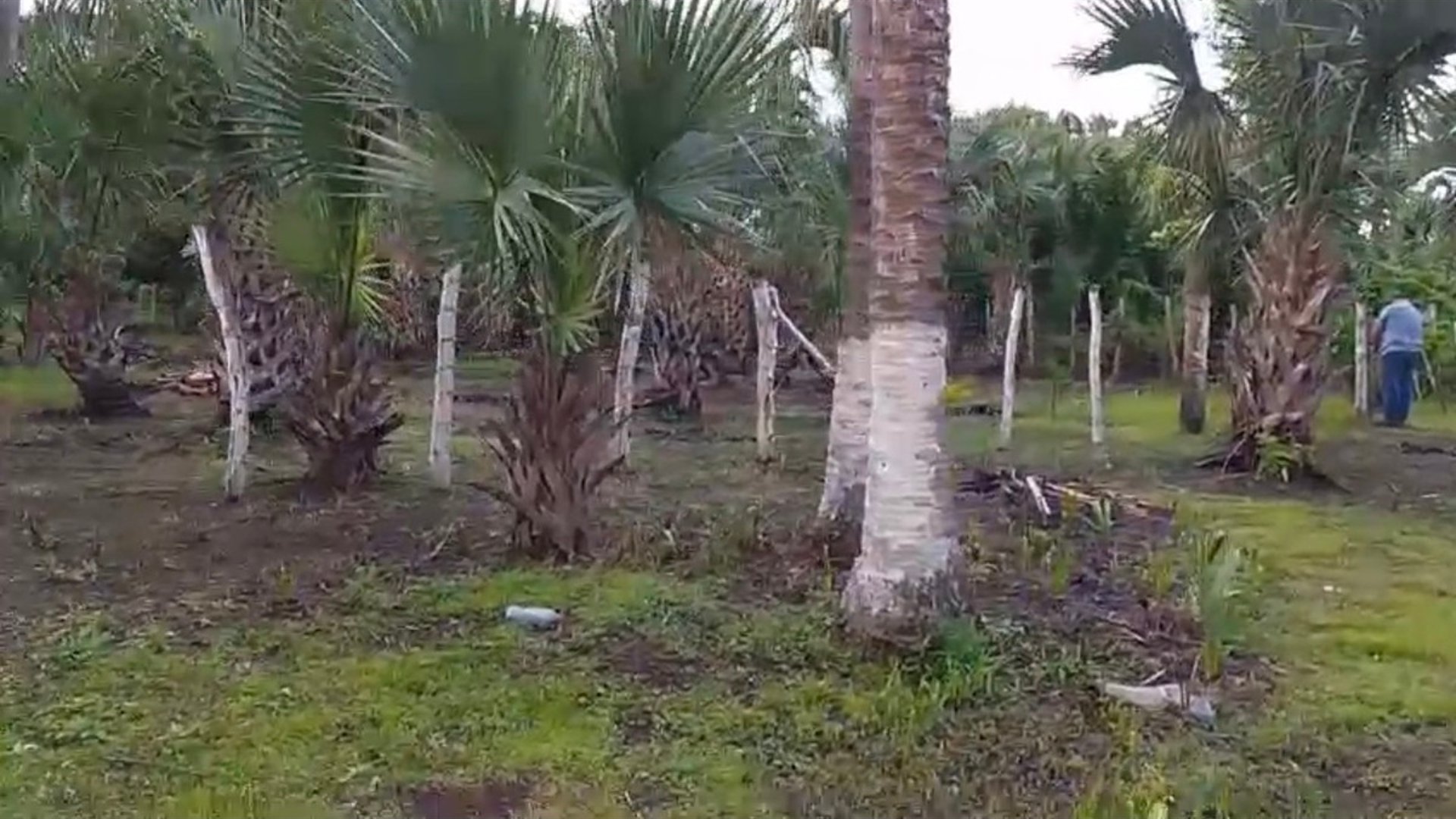 TERRENO EN VENTA – ALDEA EL CEBOLLITO, HAWÁI CHIQUIMULA