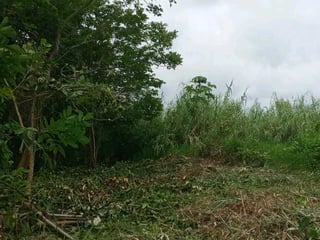 Vendo Terreno en El Estor Izabal - Image 5