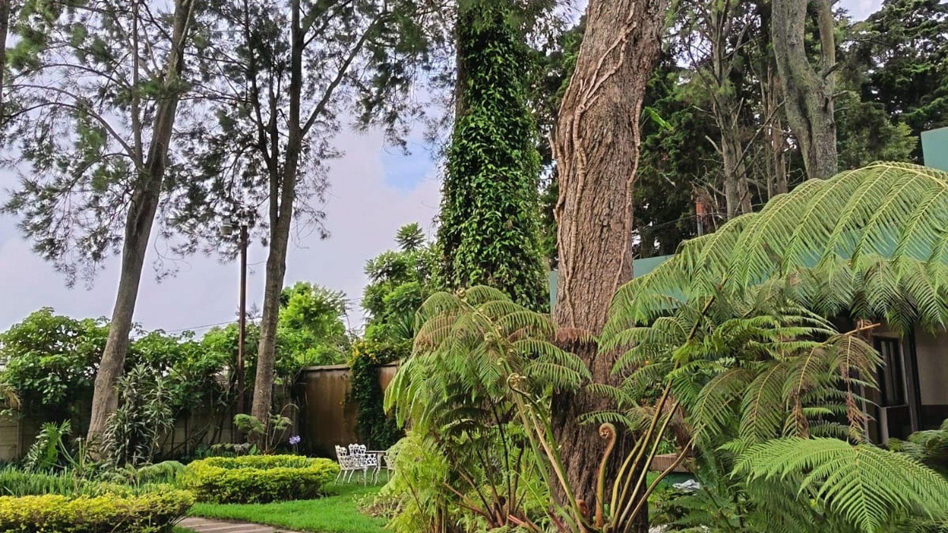 Residencia de Lujo en Guatemala | Opción en Venta y Renta - Miniatura 2