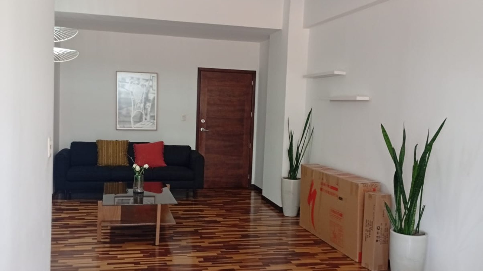 Apartamento en Venta y Renta en zona 14 - Miniatura 2