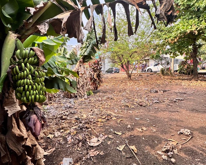 Terreno en venta en cañadas de buena vista Escuintla